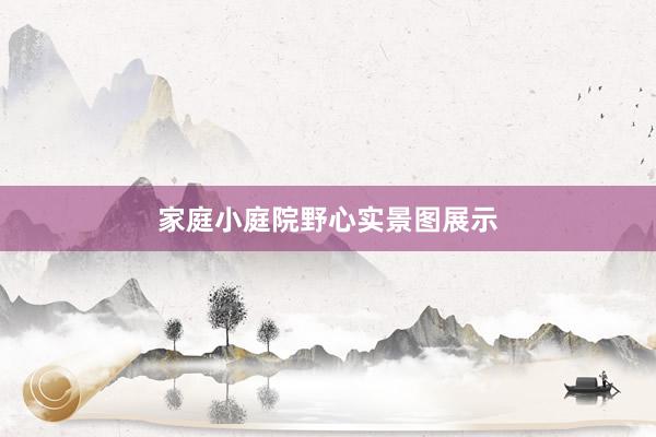 家庭小庭院野心实景图展示