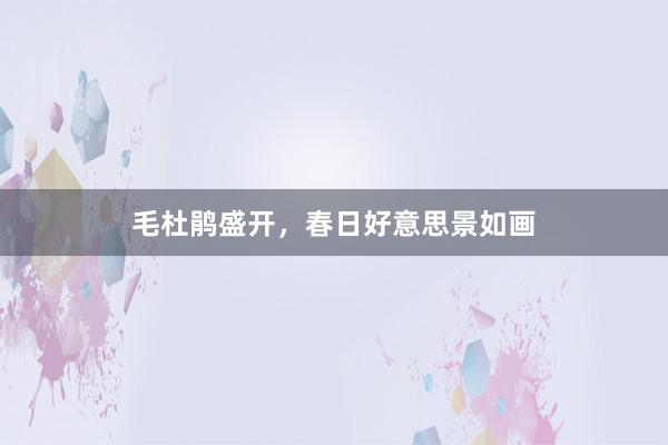 毛杜鹃盛开，春日好意思景如画